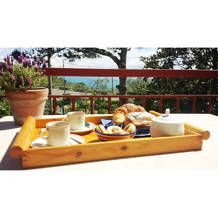 Rosamaria Exclusive Sorrento & Amalfi Coast Apartment Piano di Sorrento